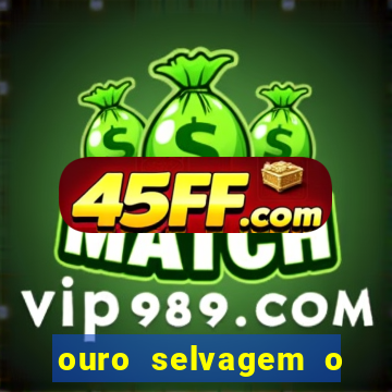 ouro selvagem o que aconteceu na vida